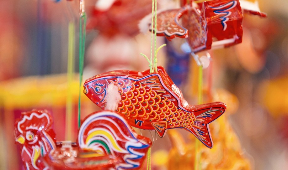 Celebrate the Mid-Autumn Festival on Hang Ma Street: Childhood Memories in the Heart of Hanoi